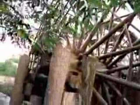 water-wheel