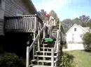 Chase's stupid tricks