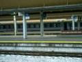 videos de EU07-005