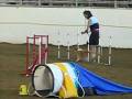 videos de kaley corgi - AKC standard run --frapping queen- nov 29 08