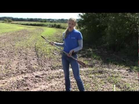 how to collect soil samples