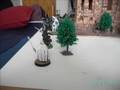 Mitharandir vs. Rey Brujo