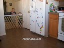 Alien Air Saucer 3 gyro 4ch rc quad copter xufo ufo