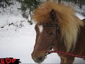 Ranta-Pekan Muistolle Ranta-Pekan Muistolle