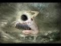 Anathema-Angels-Walk