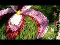 Tapete de Flores