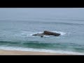 Dday One "Omega Point" Video - free flv video @ vwatch.tv