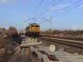 Tarde del 30/01/2007 en Aranjuez