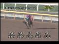 videos de [調教] 081203 ベンチャーナイン 「ステイヤーズステークス」前追い切り