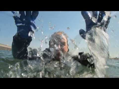 how to decide to drop a course