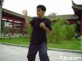 陈汝棉系 永春伏虎拳 Chan Yu Ming Lineage Weng Chun Fok Fu Kuen