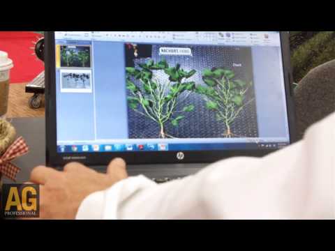 how to fertilize soybeans