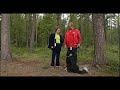 Normaalimies Kulmasohva