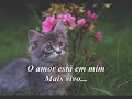 titas – Porque Eu Sei Que é Amor