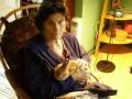 Red the Rabbit on Mrs. G\ Red the Rabbit on Mrs. G\