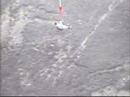 Nevus High Wire Bungy - Gerrod Nevus High Wire Bungy - Gerrod