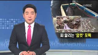 뉴스데스크