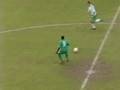 Obafemi Martins vs. Ireland