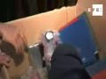 decomisan media tonelada de cocaína en aeropuerto d f 