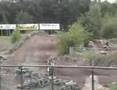 bennie aan het trainen in berghem