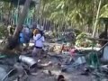 Tsunami Home Movie