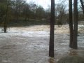 Lawson's Fork in Flood (12 Nov, Spartanburg, SC)