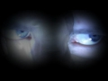 Stop Spying on me - Music Video - THE ROBBA™ - ❣© §ΓЏ シ ℜ◎ßßα ❣