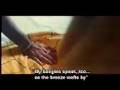 videos de Payalen Chunmun Chunmun - Virasat