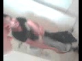 Video SEX BOY.3gp Video SEX BOY.3gp