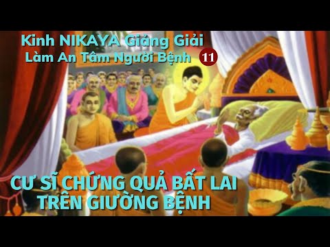 Kinh NIKAYA Giảng Giải - Làm An Tâm Người Bệnh 11 - Cư Sĩ Chứng Quả Bất Lai Trên Giường Bệnh