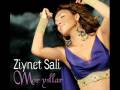 videos de Dance Dance Arabic Remix !! Zeinet