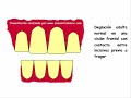 3-tristes-tigres.html