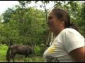 Food Security project in El Salvador (Spanish) Part 3