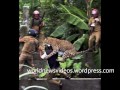 Leopard mauls six Indian villagers
