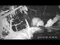 with video