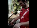 La potatura del rosmarino