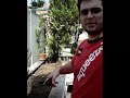 La potatura del rosmarino