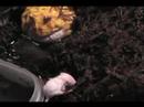Frank The Pacman Frog eats a mouse