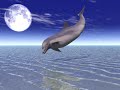 Notre Terre
