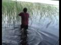 harlanda81.wmv