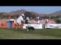 Japan Disc dog team Japan Style Vid
