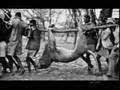 Ger�ek safari g�r�nt�leri belgeseli video.