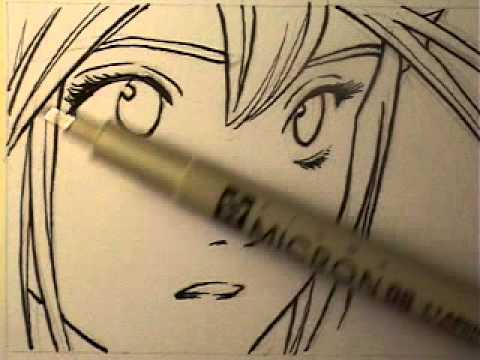 brody's - Order