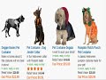 Pet Halloween Costumes - Pet Halloween Costume