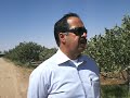 Bagh e  Pesteh \" Karimi \"-Mahvelat, Torbat. H. Khorasan