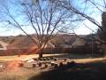 videos de Time Lapse of the backyard