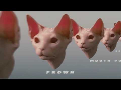 Cats and Dogs 2 Tippett Studio Breakdown Reel