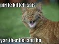 Very Funny Cats 23 Very Funny Cats 23