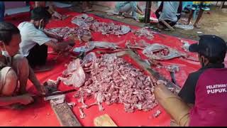 Wow❗❗ 130 ekor Kambing , Yayasan KMI berqurban