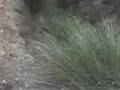 videos de Aspe un pueblo con algunos encantos ocultos
